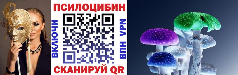 Галлюциногенные грибы Psilocybine cubensis  даркнет сайт  Венёв 